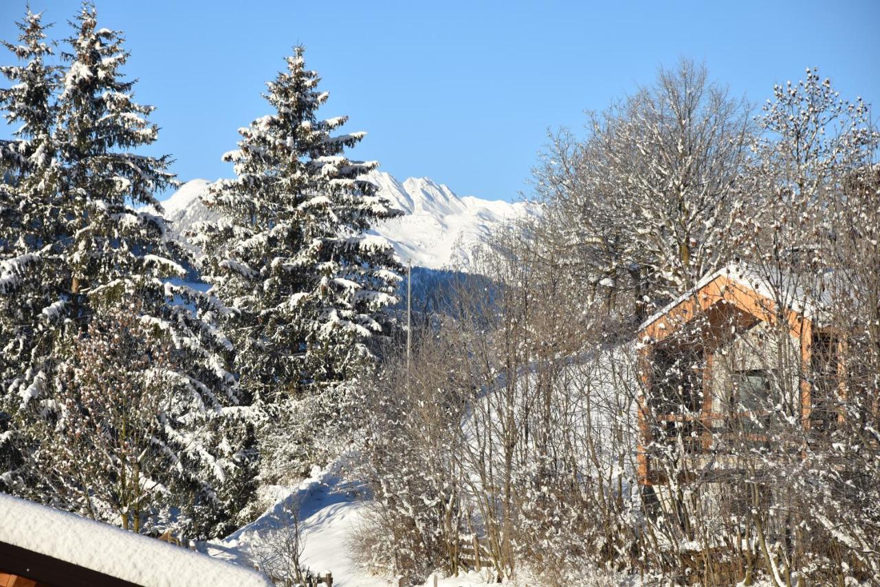 Chalet & Appartement Zingerlehof Trens 坎博·迪·特伦斯 外观 照片