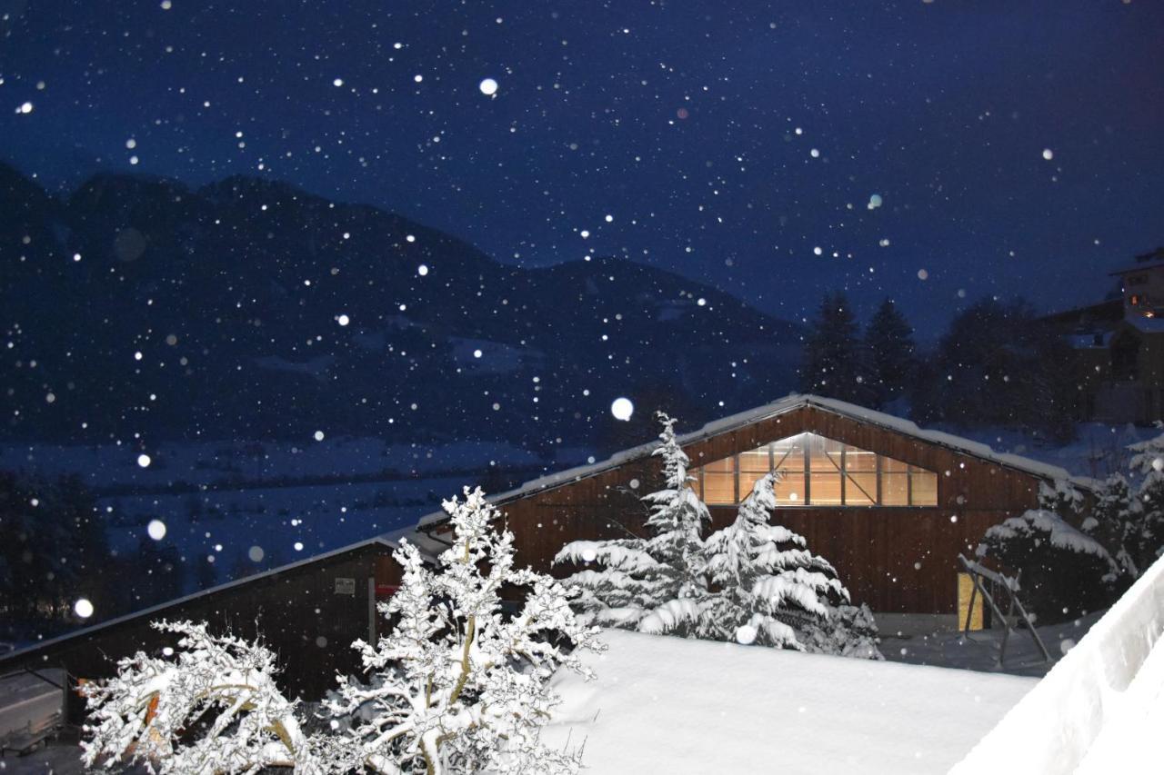 Chalet & Appartement Zingerlehof Trens 坎博·迪·特伦斯 外观 照片
