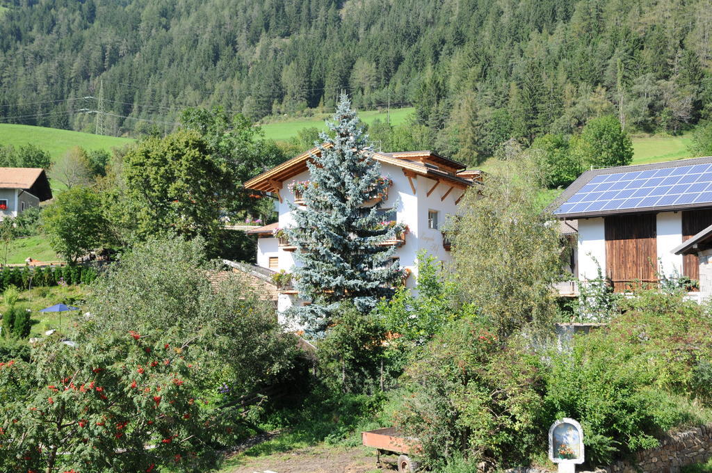 Chalet & Appartement Zingerlehof Trens 坎博·迪·特伦斯 外观 照片
